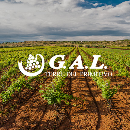 GAL Terre del Primitivo